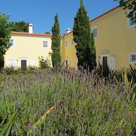 Βίλα Casa Pinha *