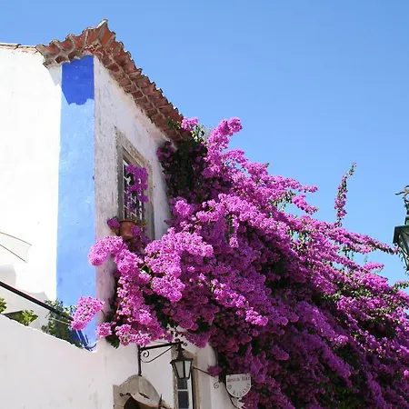 Casa Pinha Βίλα