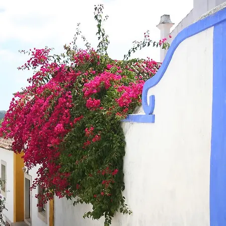 Βίλα Casa Pinha *